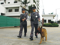 廣州保安犬防服務
